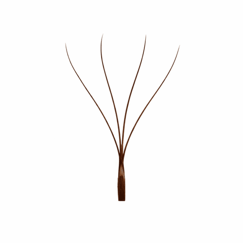 BROWN LASHES W4D - Maxi Lashes