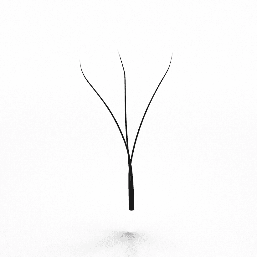 W3D MIX - Maxi Lashes