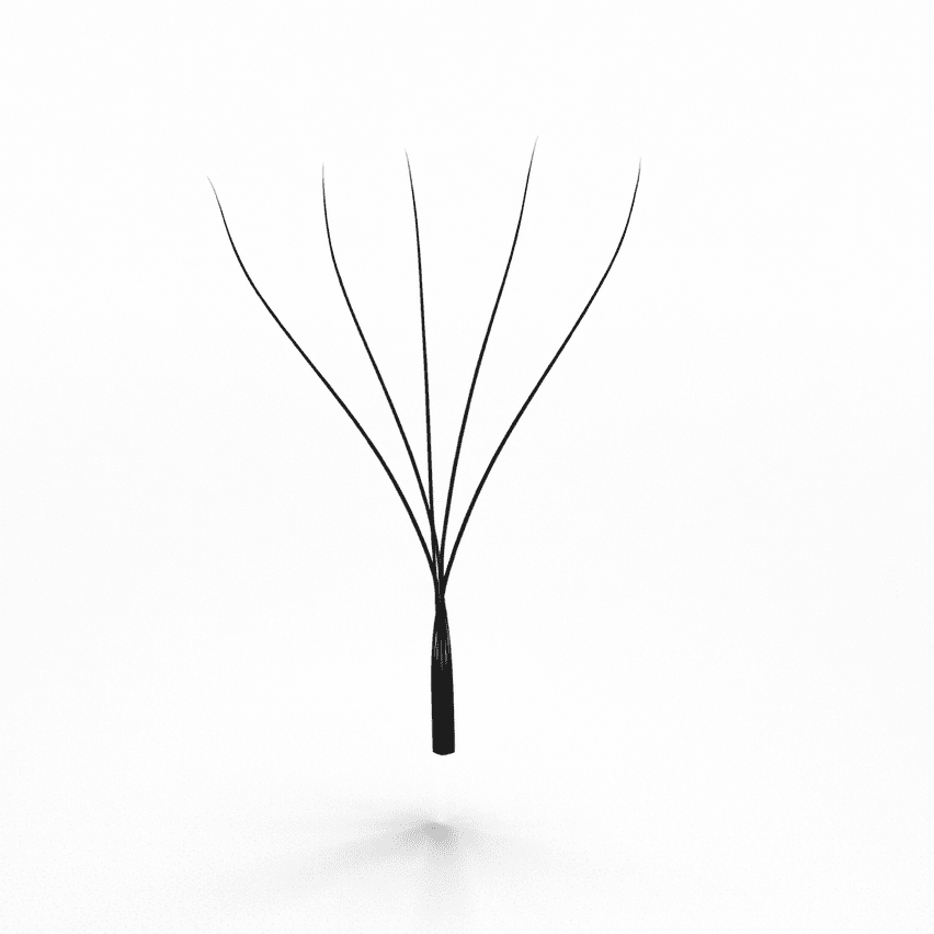 W5D l Fibras tecnológicas l Lash extensions